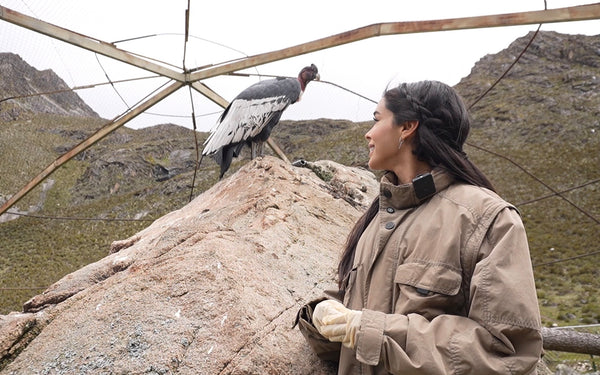 Animal rescue and wildlife conservation work in the field